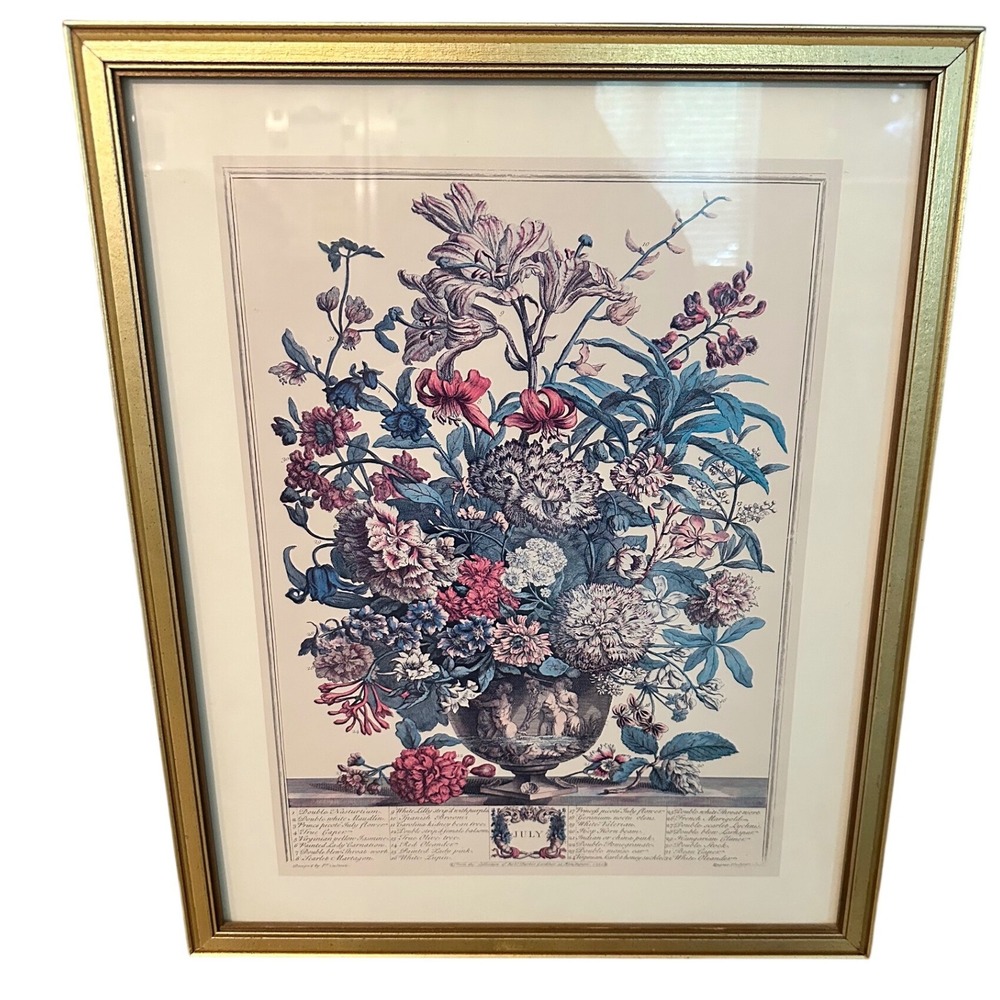 Robert Furber July Twelve Months of Flowers Framed Botanical Print Gold Frame